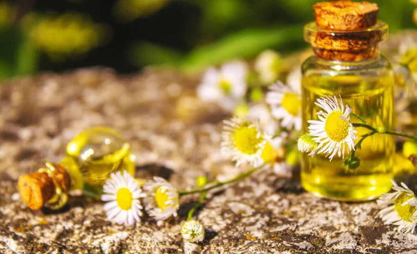 Medicinal Herbs Bottles Chamomile Oil Extract Selective Focus Nature — Stock Photo, Image