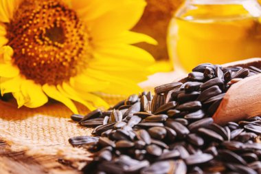 Eski ahşap arka planda ayçekirdeği ve yağ şişesi. Seçici odaklanma. Doğa.