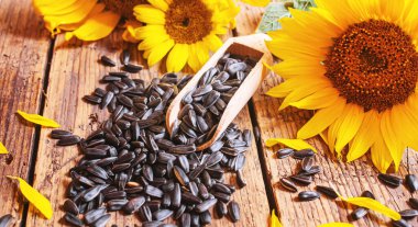 Eski ahşap arka planda ayçekirdeği ve yağ şişesi. Seçici odaklanma. Doğa.