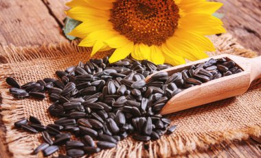 Eski ahşap arka planda ayçekirdeği ve yağ şişesi. Seçici odaklanma. Doğa.