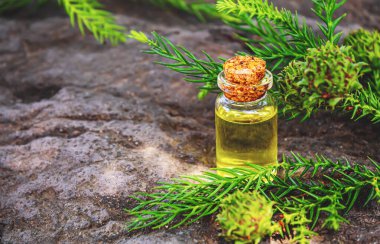 Bir şişe köknar ve yeşil koni yağı. Seçici odaklanma. Doğa