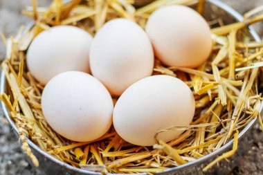 Fresh chicken eggs in the hay on a farm. Selective focus.animals