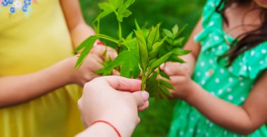 Bir çocuk bahçeye bir bitki eker. Seçici odaklanma. Doğa.