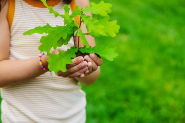 Bir çocuk bahçeye bir bitki eker. Seçici odaklanma. Doğa.