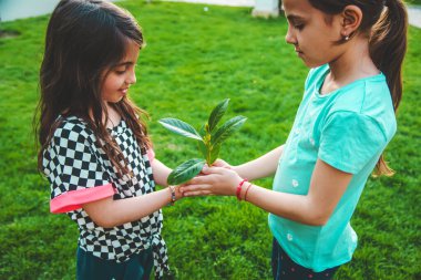 Çocuklar ellerinde doğa ağacıyla ilgilenirler. Seçici odaklanma. Çocuk.