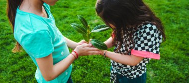 Çocuklar ellerinde doğa ağacıyla ilgilenirler. Seçici odaklanma. Çocuk.