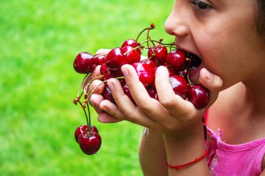Bir çocuk bahçede kiraz topluyor. Seçici odaklanma. Yiyecek..