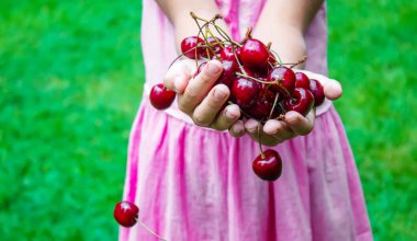 Bir çocuk bahçede kiraz topluyor. Seçici odaklanma. Yiyecek..