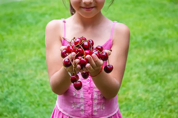 Ein Kind Erntet Garten Kirschen Selektiver Fokus Lebensmittel — Stockfoto