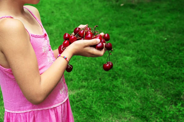 Dítě Sklízí Třešně Zahradě Selektivní Soustředění Jídlo — Stock fotografie