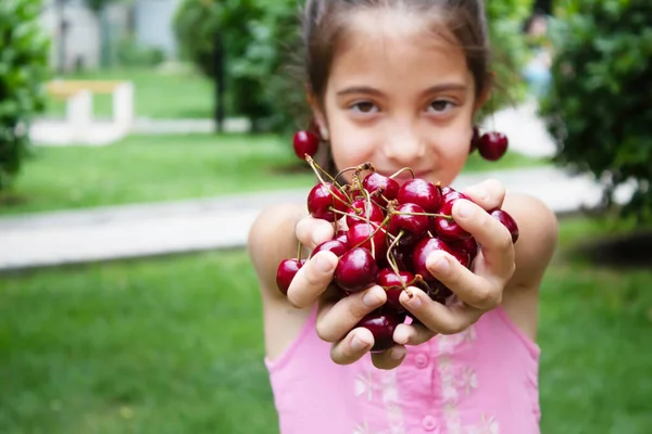 Ein Kind Erntet Garten Kirschen Selektiver Fokus Lebensmittel — Stockfoto
