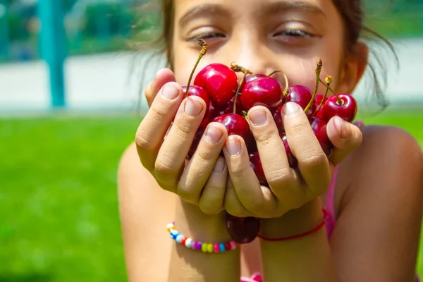 Een Kind Oogst Kersen Tuin Selectieve Focus Voedsel — Stockfoto