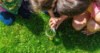 bir büyüteç kelebek bakmak çiçekler üzerinde oturur. seçici odak. Doğa