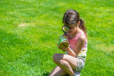 bir büyüteç kelebek bakmak çiçekler üzerinde oturur. seçici odak. Doğa