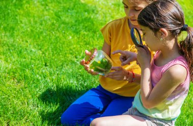 bir büyüteç kelebek bakmak çiçekler üzerinde oturur. seçici odak. Doğa