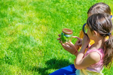 bir büyüteç kelebek bakmak çiçekler üzerinde oturur. seçici odak. Doğa