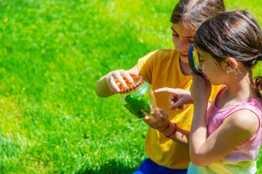bir büyüteç kelebek bakmak çiçekler üzerinde oturur. seçici odak. Doğa