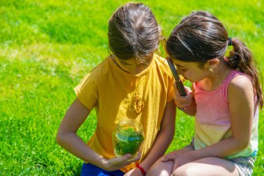 bir büyüteç kelebek bakmak çiçekler üzerinde oturur. seçici odak. Doğa