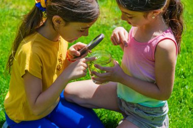 bir büyüteç kelebek bakmak çiçekler üzerinde oturur. seçici odak. Doğa