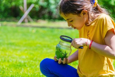 bir büyüteç kelebek bakmak çiçekler üzerinde oturur. seçici odak. Doğa