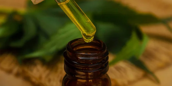 Ätherisches Cannabis Einer Kleinen Flasche Selektiver Fokus Natur — Stockfoto