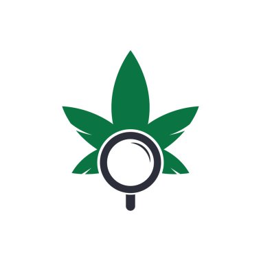 Kenevir Arama logo tasarım vektör şablonu. Marihuana yaprağı ve logo kombinasyonu. Kenevir ve büyütme sembolü veya simgesi.