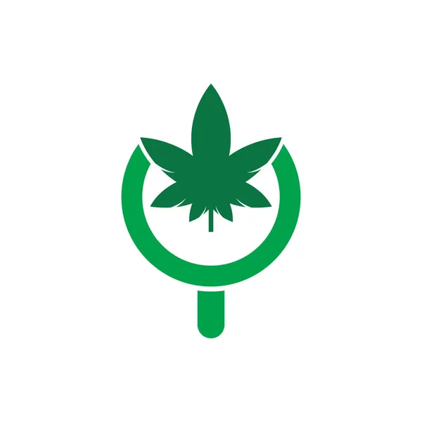 Cannabis Search Logo Design Vektorvorlage Marihuana Blatt Und Lupe Logo — Stockvektor