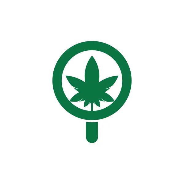 Cannabis Search Logo Design Vektorvorlage Marihuana Blatt Und Lupe Logo — Stockvektor