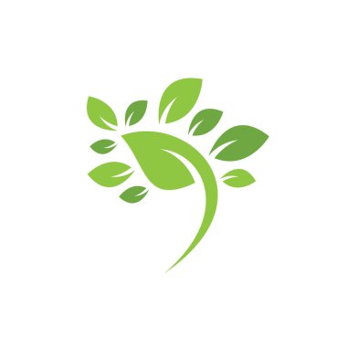 Yaprak Logosu Şablonu. Ağaç yaprağı logo şablonu tasarım vektörü, simge illüstrasyonu