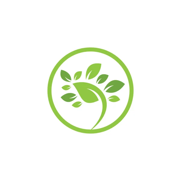 Plantilla Logotipo Hoja Árbol Hoja Logo Plantilla Diseño Vector Icono — Vector de stock