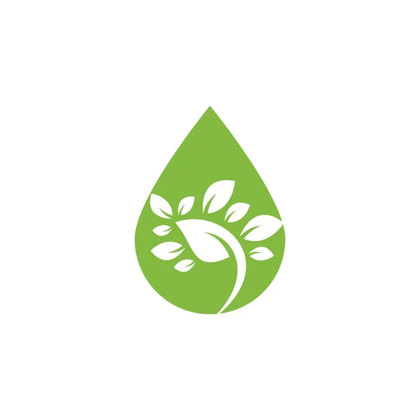 Leaf Drop Shape Logo Template Tree Leaf Logo Template Design — Wektor stockowy