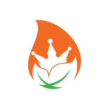 Yaprak ateş damlası konsept vektör logo tasarım şablonu. Çevre yeşili alternatif enerji logosu tasarım şablonu.