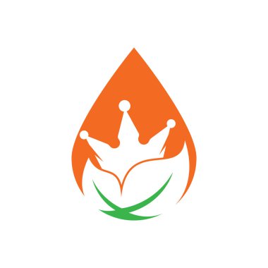 Yaprak ateş damlası konsept vektör logo tasarım şablonu. Çevre yeşili alternatif enerji logosu tasarım şablonu.