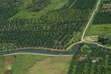 Sulama ve çiftlik arazi Üstten Görünüm