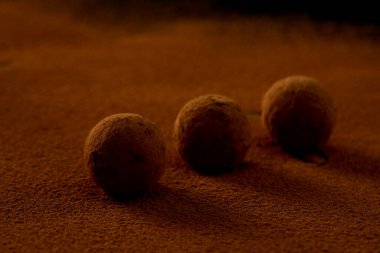 Kakaolu mantar, hindistan cevizi ve kakao tozlu çikolatalı susam tohumu dramatik ışıklandırma altında leziz bir tatlı.