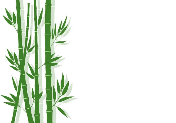 Zielony Bambus Wynika Izolowane Białym Tle — Wektor stockowy