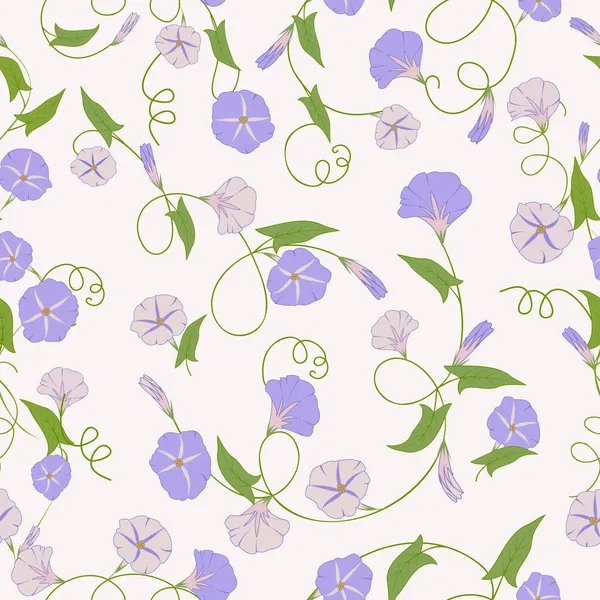 Kwiatowy Bezszwowy Wzór Niebieską Chabrą Kwiaty Convolvulus — Wektor stockowy
