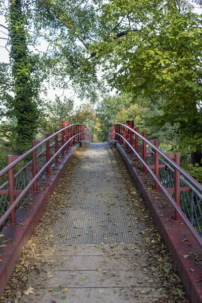 Красный Металлический Мост Лесу — стоковое фото