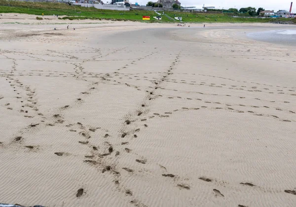 Многие Следы Песке Пляже Время Отлива — стоковое фото