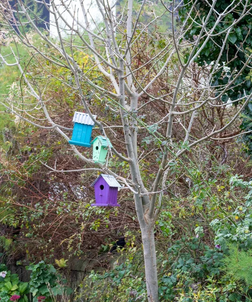 Vogelhäuser Garten — Stockfoto