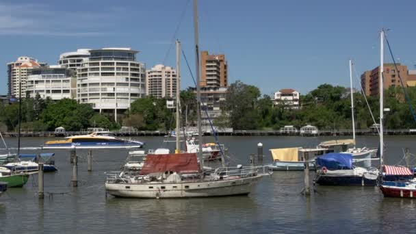 Ferry que passa no rio Brisbane — Vídeo de Stock