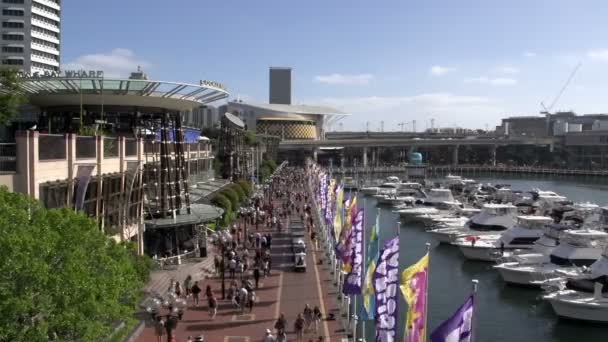 Hafenboulevard mit Menschen und Booten — Stockvideo
