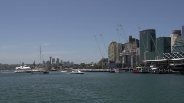Veerboot en zeil boten in darling harbour — Stockvideo