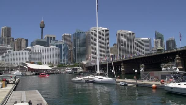 Darling harbour view from the national maritime museum — Stock Video