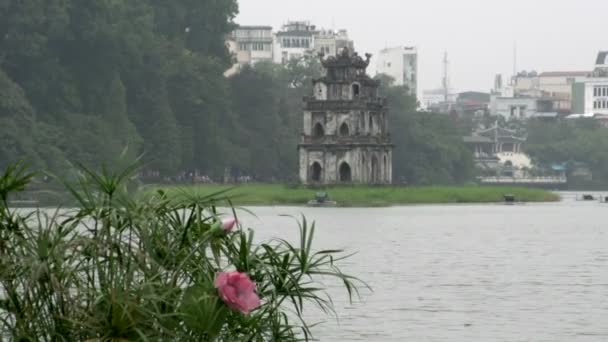 Розовые цветы с Thap Rua (Turtle Tower ) — стоковое видео