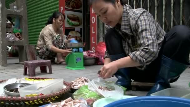 Mujer cortando el camarón — Vídeo de stock