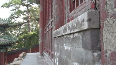 bir diğer bir pagoda pan