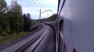 bir eğri ile orman görünümünde tren