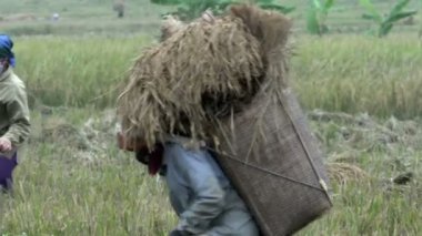 sepet saman dolu çekip kadın