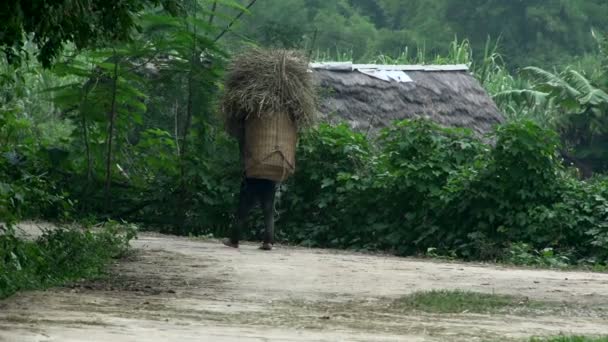 Agricultor caminando con una cesta de heno — Vídeos de Stock